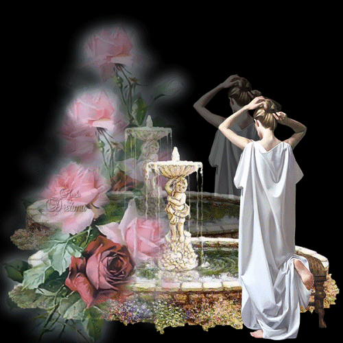 notre maison des reve rose